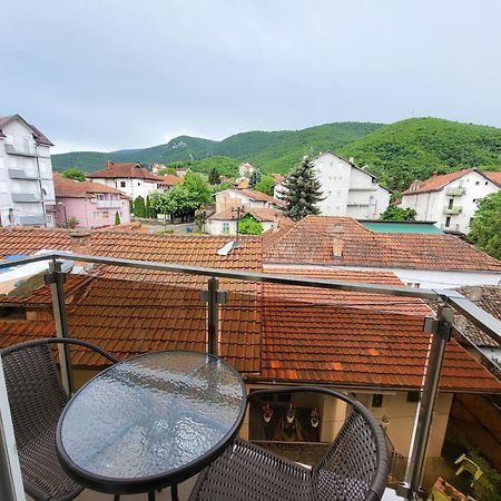 Vila Pcelica Petra Сокобаня Номер фото