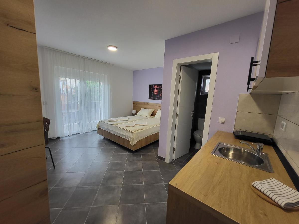 Vila Pcelica Petra Сокобаня Номер фото