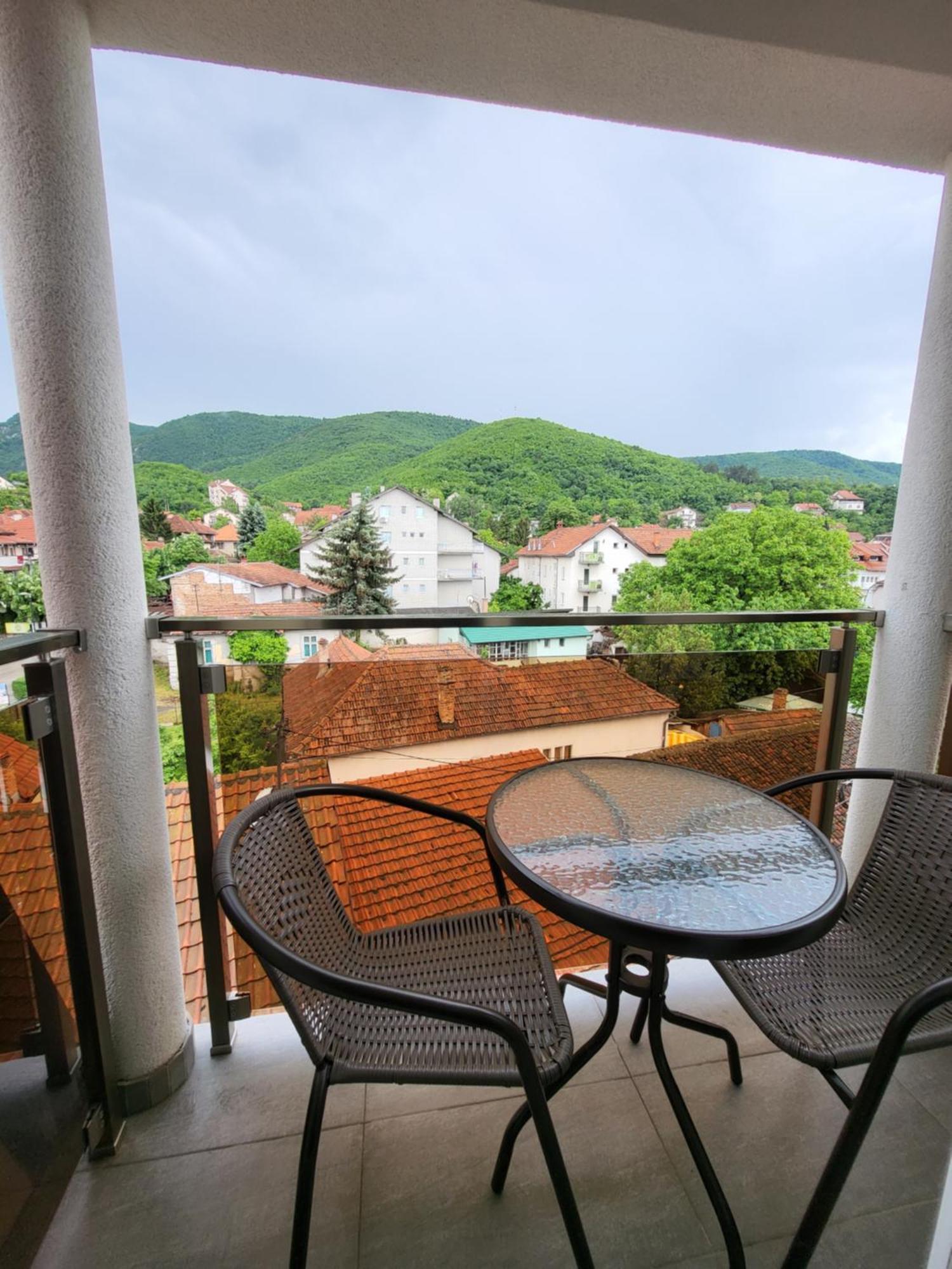 Vila Pcelica Petra Сокобаня Номер фото