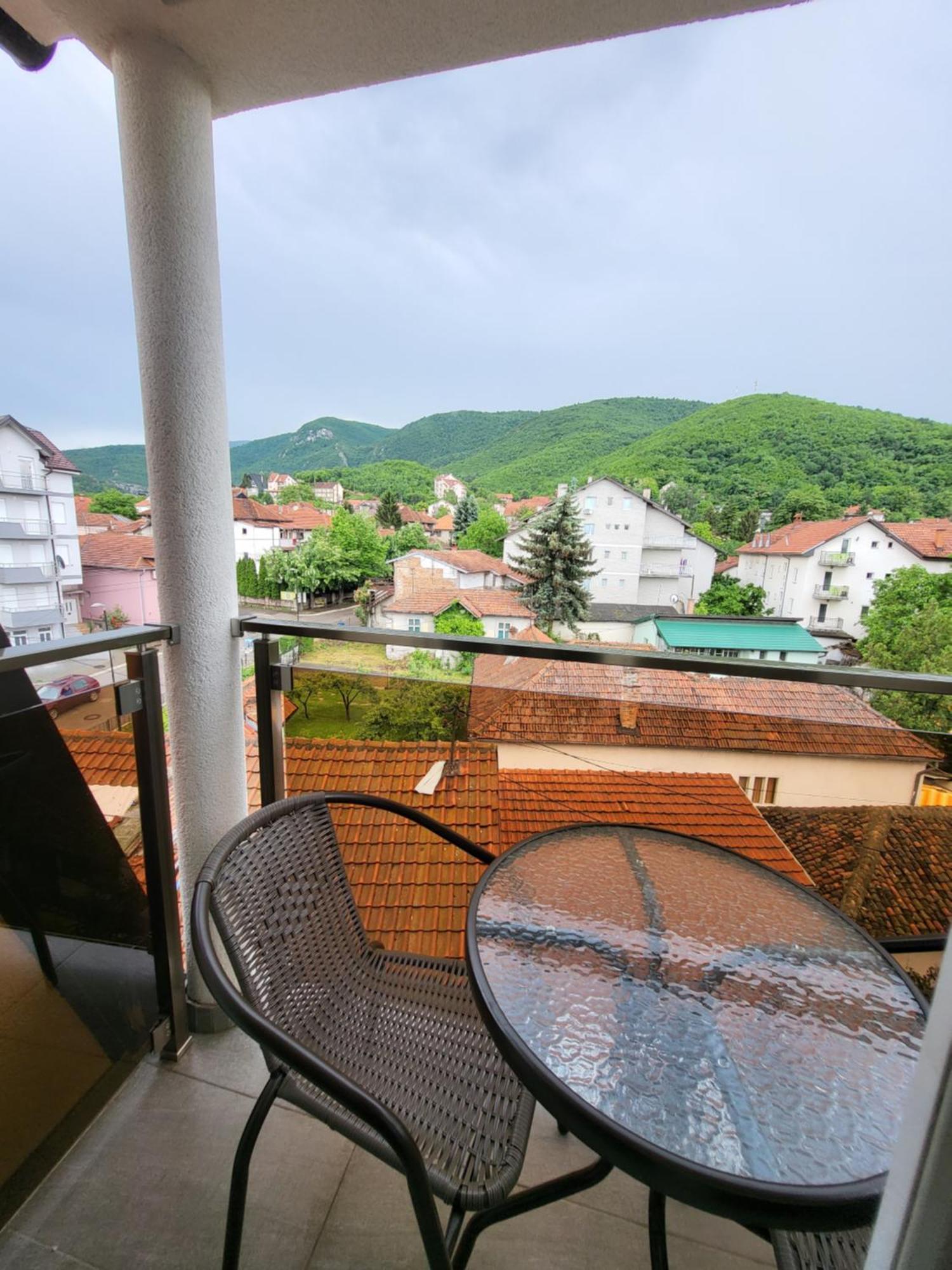 Vila Pcelica Petra Сокобаня Номер фото